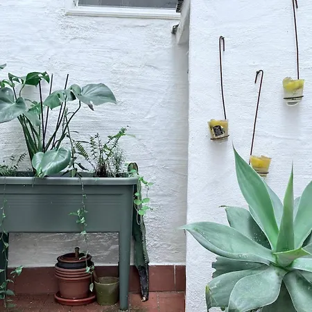 The Small House Coliving Apartment