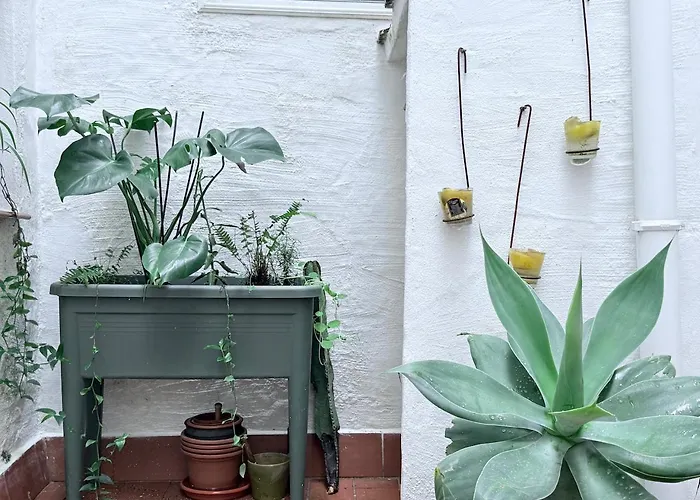 The Small House Coliving Apartment